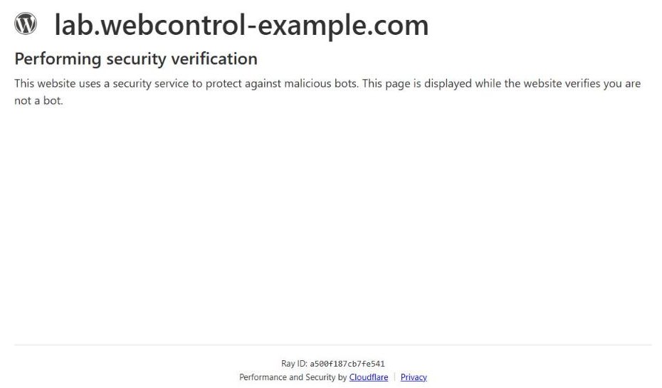 Cloudflare page for a site: Performing security verification. This website uses a security service to protect against malicious bots, with a Ray ID at the bottom.