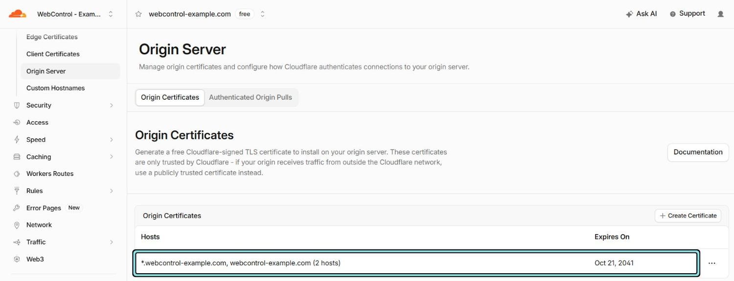 SSL/TLS, Origin Server, Origin Certificates: one certificate covering the domain and all its subdomains, expiring 21 October 2041, highlighted.